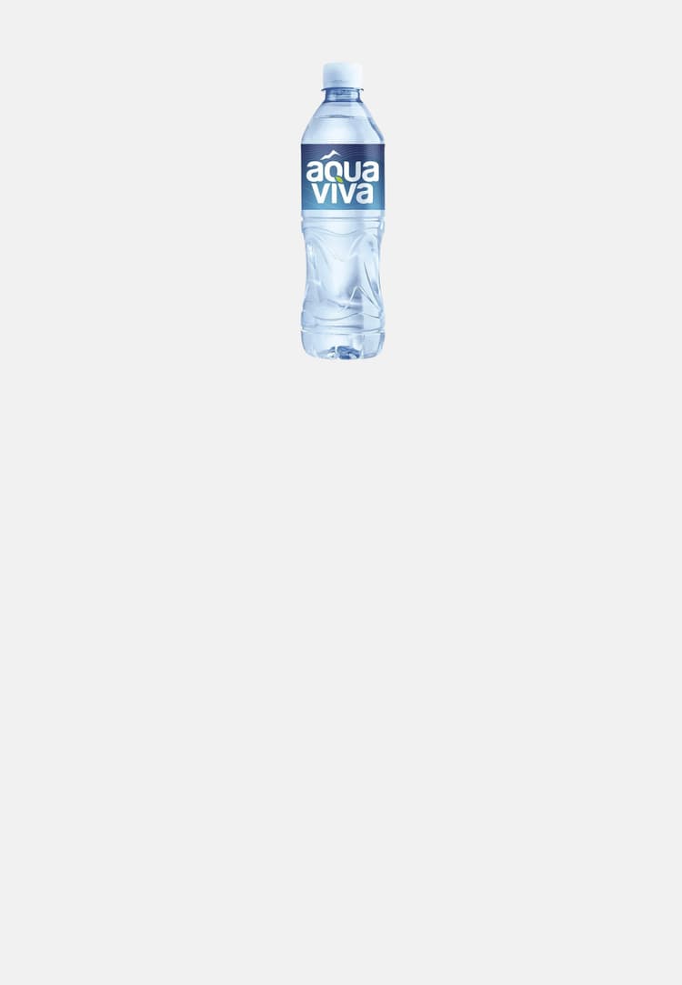 Aqua viva 0,5l